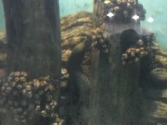 -苏州海洋馆