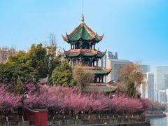 -望江楼公园