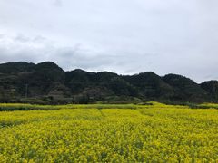 -新安江山水画廊风景区