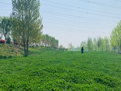 -洨河生态公园