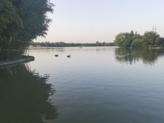 -洛阳市隋唐城遗址植物园