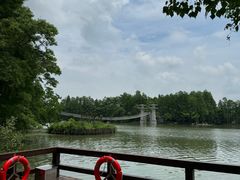 -东湖落雁景区