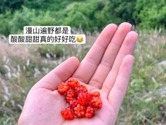 -浮槎山