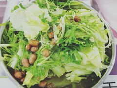 凉拌苦菊-中医药大学-老3楼餐厅