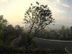 -浙江安吉JW万豪酒店·万豪中餐厅