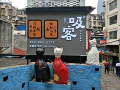 -猫咪博物馆(顶澳仔猫街店)