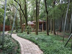 -同里国家湿地公园