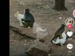-昆明动物园