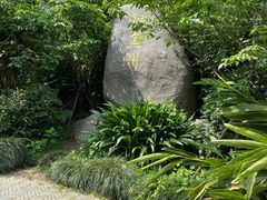 -鲤鱼洲酒店港鲤咖啡厅
