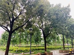 -宁波大学科学技术学院