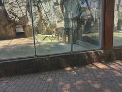 -南昌动物园
