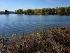 -长春市南湖公园