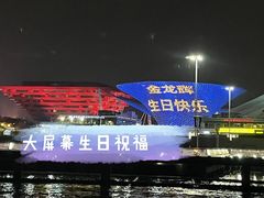 -InParty·游艇求婚策划生日派对布置(世纪大道店)