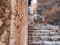 -杨家堂村
