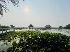 -青龙湖公园