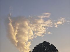 -瑞幸咖啡(龙岗星河cocopark店)