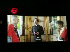 -枫花园汽车电影院(朝阳公园店)