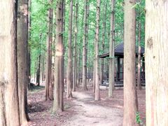 -南京金牛湖风景区
