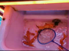 -凯德广场(西城店)