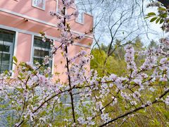 -黑龙江省森林植物园