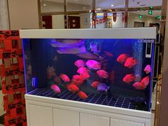 -华夏良子(京密路店)