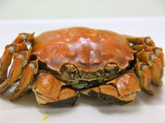 iphone_upload_pic-联兴烤吧(茶山店)