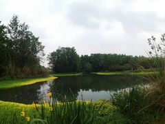 -桤木河湿地公园