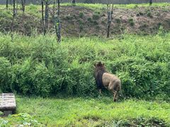 -石家庄市动物园
