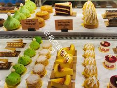 -Madeleine玛德琳(永平里店)
