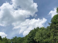 -王顺山国家森林公园