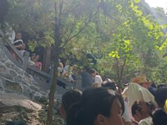 -神农山景区