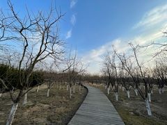 -西安浐灞国家湿地公园