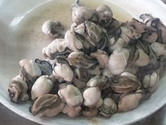 海蛎-乌糖沙茶面(民族路店)
