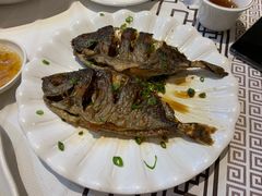 香煎泥猛鱼-强记海鲜·大排档(蛇口新街店)