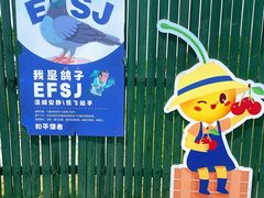 -菊园百果园