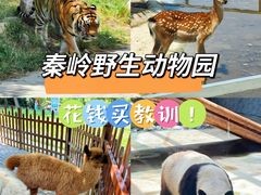 -西安秦岭野生动物园