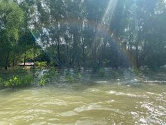 -东寨港红树林旅游区