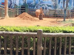 -昆明动物园