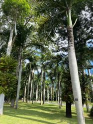 点击看大图 -深圳美莱医疗美容医院