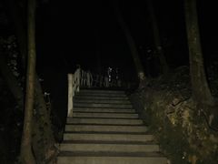 -银瓶嘴森林公园