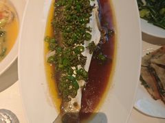 -桂满陇·海市蜃楼·黑金(国金店)