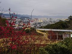 -福道