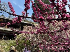 -潭柘寺景区