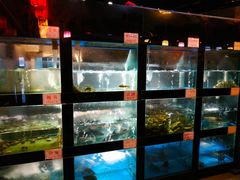 水产区-院8里·少城记忆老川菜(宽窄巷子店)