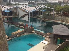 -新加坡水上探险乐园
