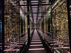 -天龙轩(香港丽思卡尔顿酒店)