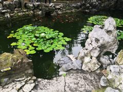 -绮园景区