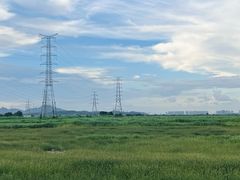 -崖口红树林海鲜餐厅