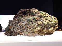 -重庆自然博物馆(新馆)