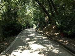 -宝岩生态观光园